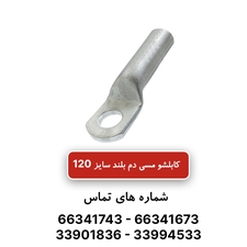 کابلشو مسی دم بلند کلوته سایز 120