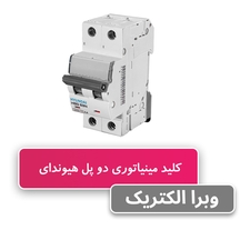 کلید مینیاتوری دو پل 40 آمپر هیوندای