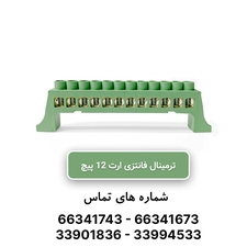 شینه فانتزی ارت (سبز) 12 پیچ