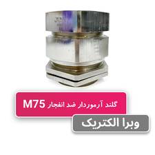 گلند ضد انفجار آرموردار M75 (به همراه شرود و ارت تگ)
