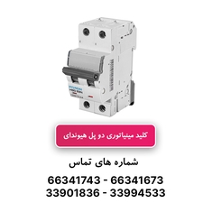 کلید مینیاتوری دو پل 25 آمپر هیوندای